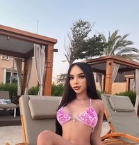 Emma sexy lady body VIP - Transsexual escort in Riyadh