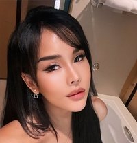 TS Monika Top services - Transsexual escort in Bangkok