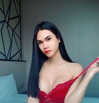 Ts Nam 🇹🇭 - Transsexual escort in Bangkok