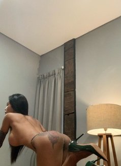Ts Naughty in Bed (Versatile) - Transsexual escort in Bali Photo 19 of 19