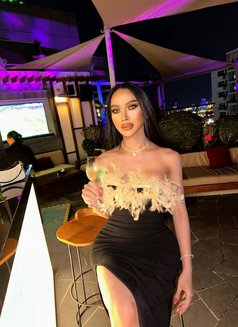 TS NAWAN 7.7 in - Transsexual escort in Al Manama Photo 19 of 23