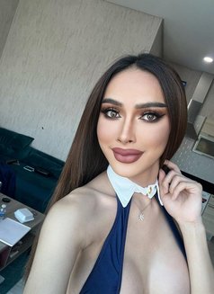 TS NAWAN 7.7 in - Transsexual escort in Al Manama Photo 21 of 23