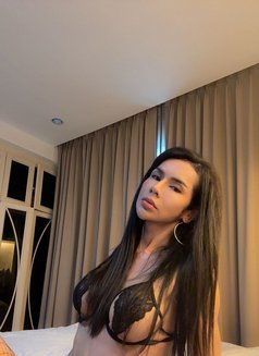 Ts Newone - Transsexual escort agency in Bangkok Photo 2 of 7