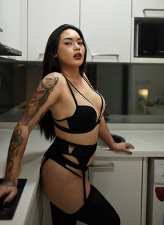 Shemale OLGA / Leaving KL soon - Acompañantes transexual in Kuala Lumpur Photo 23 of 26