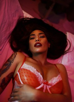 TS OLGA: Top & Bottom - Transsexual escort in Kuala Lumpur Photo 29 of 30