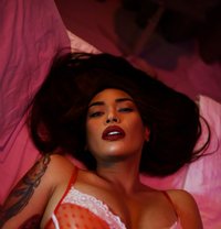 TS OLGA: Few Days left - Acompañantes transexual in Kuala Lumpur Photo 4 of 30