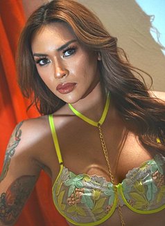 Shemale OLGA: Ideal VIP Companion - Transsexual escort in Kuala Lumpur Photo 1 of 29