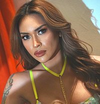 Shemale OLGA: Ideal VIP Companion - Transsexual escort in Kuala Lumpur Photo 1 of 29