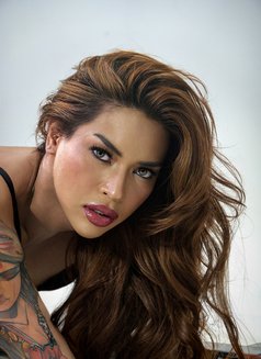 TRANS VERSA OLGA - Transsexual escort in Kuala Lumpur Photo 1 of 28