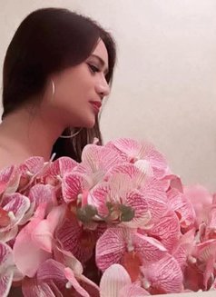 TS PAM,,YOUR SEXMaster Just Arrived ,, - Transsexual escort in Hanoi Photo 14 of 30