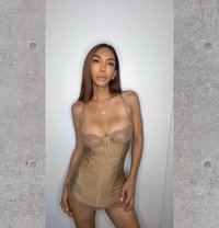 Ts Paola - Transsexual escort in Bangkok