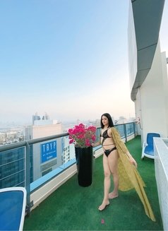 Ts Paris at your service DXB - Transsexual escort in Dubai Photo 16 of 19