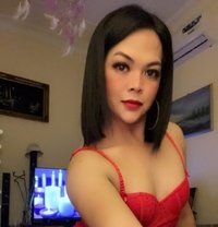 Ts Paris Top/bottom - Transsexual escort in Abu Dhabi