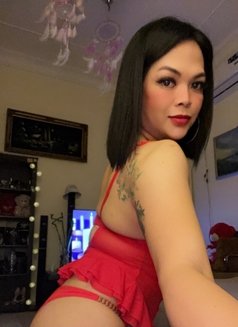 Ts Paris the new baby in town - Transsexual escort in Abu Dhabi Photo 5 of 17