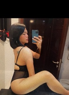 Ts Paris the new baby in town - Transsexual escort in Abu Dhabi Photo 11 of 17