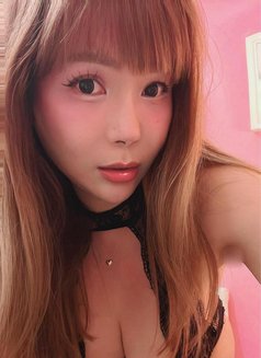 TS PHOENIX - Transsexual escort in Taipei Photo 8 of 14