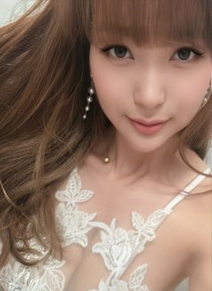 TS PHOENIX - Transsexual escort in Taipei Photo 11 of 14