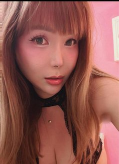 TS PHOENIX - Acompañantes transexual in Taipei Photo 2 of 28