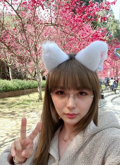 TS PHOENIX - Acompañantes transexual in Taipei Photo 22 of 28