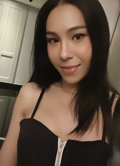 Ts, Pipoyummy - Transsexual escort in Bangkok Photo 1 of 7