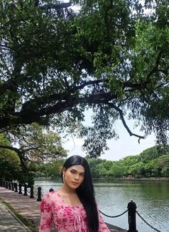 Ts Priya Big Boobs Vc Service - Transsexual escort in Chennai Photo 14 of 30