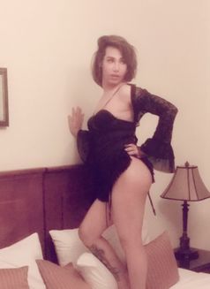 Ts Qmar Whatsaap Only - Transsexual escort in Abu Dhabi Photo 1 of 17
