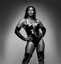 Ts Rachel - Transsexual escort in Paris