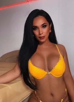 Ts Ronasia - Transsexual escort in Bangkok Photo 5 of 12