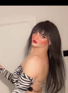 TS RYooona - Transsexual escort in Riyadh Photo 14 of 17