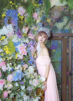 Ts Sakura - Transsexual escort agency in Shanghai Photo 22 of 23