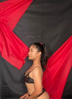 Ts Sanya - Transsexual escort in Abu Dhabi Photo 8 of 8