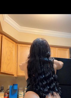 Ts sarah ايام زياره أمريكيه عراقيه - Transsexual escort in Singapore Photo 9 of 12