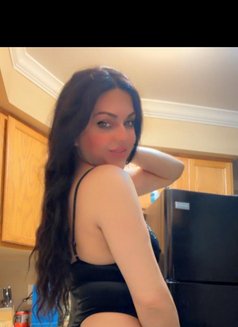 Ts sarah ايام زياره أمريكيه عراقيه - Transsexual escort in Singapore Photo 10 of 12