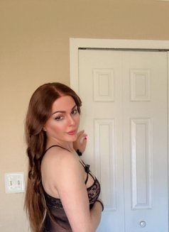Ts sarah ايام زياره عراقيه - Transsexual escort in Tilburg Photo 12 of 14