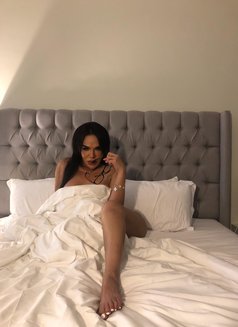 TS Sassy is Back! THE WORLD CLASS(VVVIP) - Transsexual escort in Dubai Photo 25 of 30