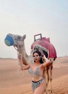 TS Sassy is Back! THE WORLD CLASS(VVVIP) - Transsexual escort in Dubai Photo 28 of 30