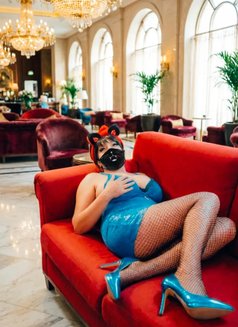 Ts Scarlet Sissy - Transsexual escort in Singapore Photo 4 of 8