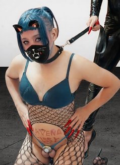 Ts Scarlet Sissy - Transsexual escort in Singapore Photo 9 of 10