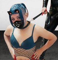 Ts Scarlet Sissy - Transsexual escort in Singapore