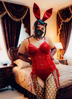 Ts Scarlet Sissy - Transsexual escort in Singapore Photo 10 of 10