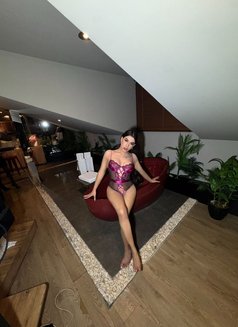 Ts Selina - Transsexual escort in Sofia Photo 7 of 9