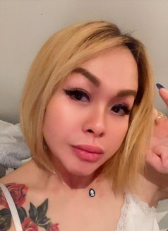 Ts Sexy Ivy Available in Southbank - Transsexual escort in Melbourne Photo 7 of 9
