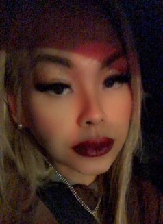 Ts Sexy Ivy Available in Southbank - Transsexual escort in Melbourne Photo 11 of 13
