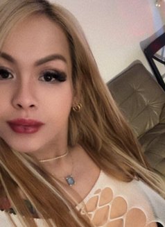 Ts Sexy Ivy Available in Perth CBD - Acompañantes transexual in Perth Photo 11 of 12