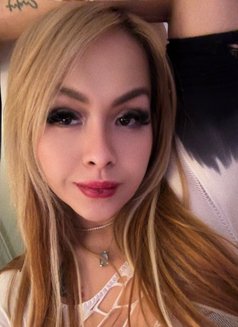 Ts Sexy Ivy Available in Perth CBD - Acompañantes transexual in Perth Photo 12 of 12