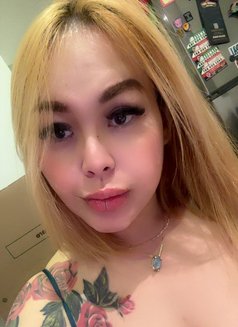 Ts Sexy Mistress Ivy - Acompañantes transexual in Melbourne Photo 1 of 13