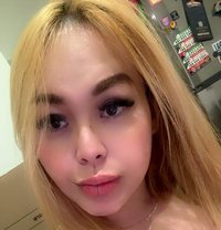 Ts Sexy Mistress Ivy - Transsexual escort in Melbourne Photo 1 of 13