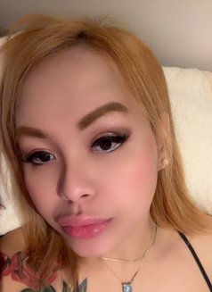 Ts Sexy Mistress Ivy - Acompañantes transexual in Melbourne Photo 3 of 13