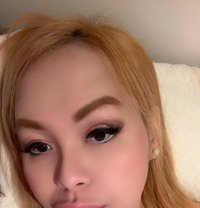 Ts Sexy Mistress Ivy - Transsexual escort in Melbourne