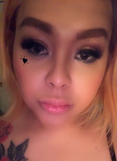 Ts Sexy Mistress Ivy - Acompañantes transexual in Melbourne Photo 7 of 13